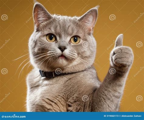 A Cat is Giving a Thumbs Up Sign Stock Illustration - Illustration of ...