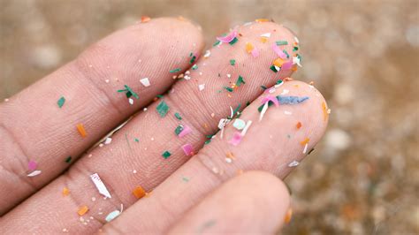 Microplastics kunnen zich vanuit de darmen naar de hersenen verspreiden ...