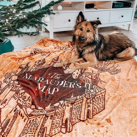 Harry Potter - Marauders Map Pluizige Deken met Teddybont | Elbenwald