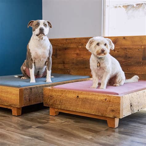 Dog Bed Frame | Avocado Green Mattress®