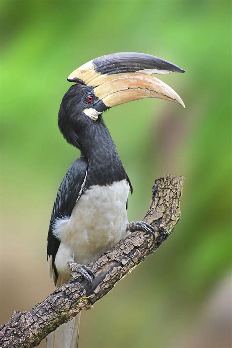 Mexican+Big+Ass Photos, Download The BEST Free Mexican+Big+Ass Stock ...