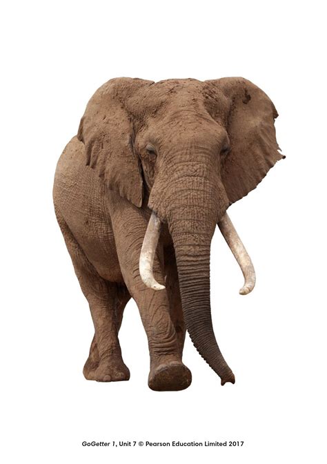 Go Getter | Baamboozle - Baamboozle | The Most Fun Classroom Games!