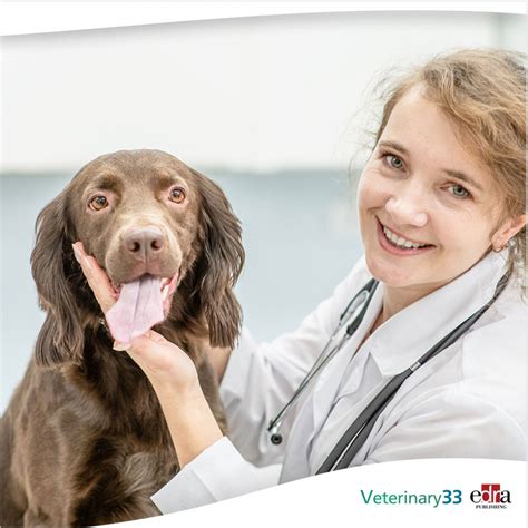AVMA report: starting salaries up, debt down for new veterinarians | Veterinary 33