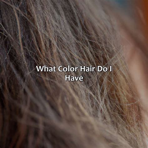 What Color Hair Do I Have - colorscombo.com