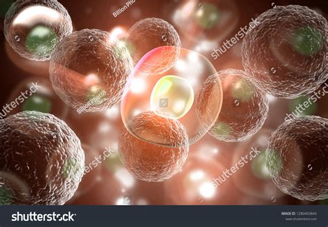 1,453 Animal Cell Under Light Microscope Images, Stock Photos & Vectors ...