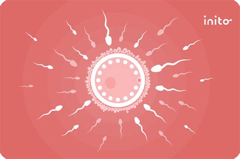 Does Smoking Weed Affect Sperm?