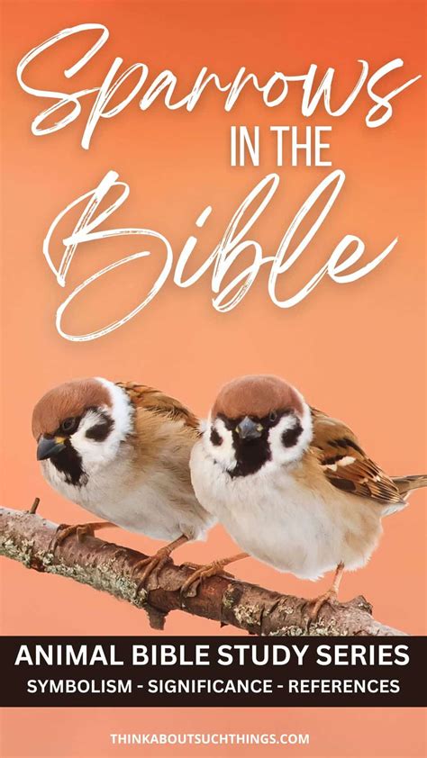 The Symbolic and Spiritual Significance of Sparrows in the Bible