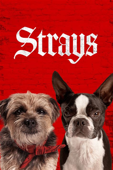 Strays (2023) | The Poster Database (TPDb)