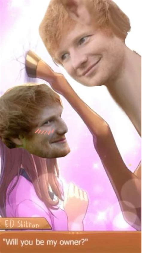 Day 5 of posting memes of ed Sheeran | Very funny pictures, Ed sheeran ...