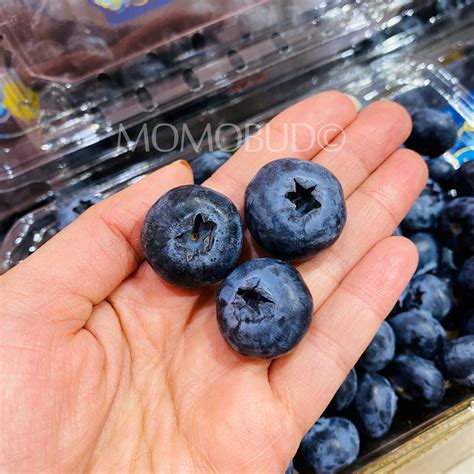 Jumbo Driscoll's Sweetest Batch Blueberry (312g punnet) — MomoBud