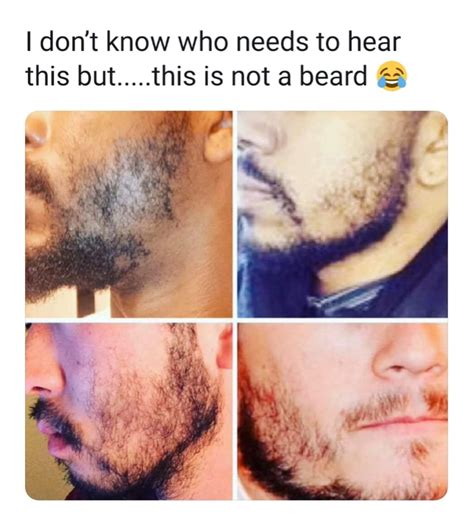 Pin by Ludwinn Alexis on CACKLING QUOTE | Beard, Hair meme, Funny memes