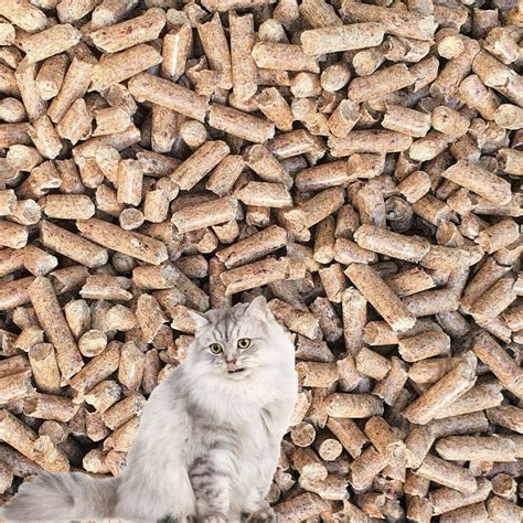 CJ's Premium Cat Litter Ultra Absorbent Wood Pellets, Biodegradable, 30 ...