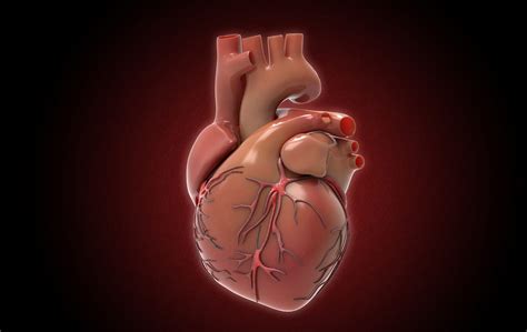 Patent Foramen Ovale/Atrial Septal Defect (PFO/ASD) Closure - Advanced Heart and Vein