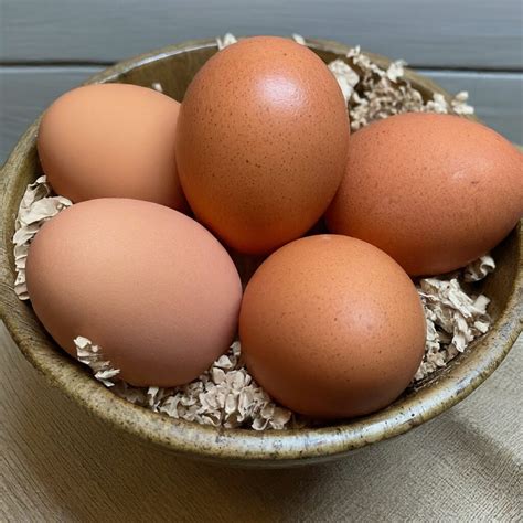 The Pasture Farms – Rare Poultry & Hatching Eggs