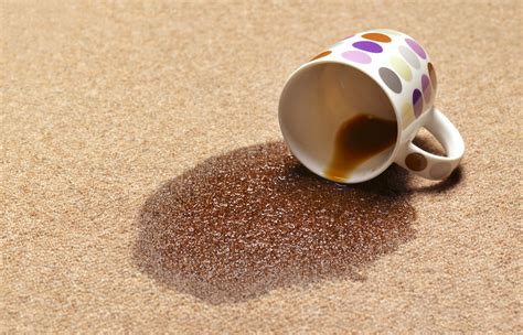How To Get Coffee Out Of Carpet : Sometimes, depending on the carpet ...