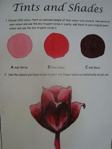 Tints and Shades Worksheet: Explore Color Variations