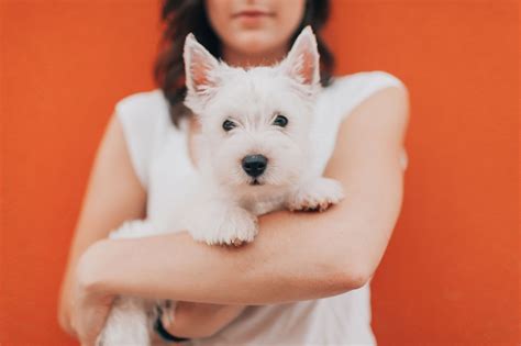 Alexandria, VA Apartments for Rent | The Mark by Solaire