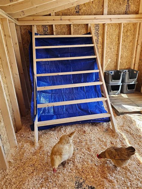 Best 13 15 Cool Chicken Roost Ideas That They Love! – FowlFamily – Artofit