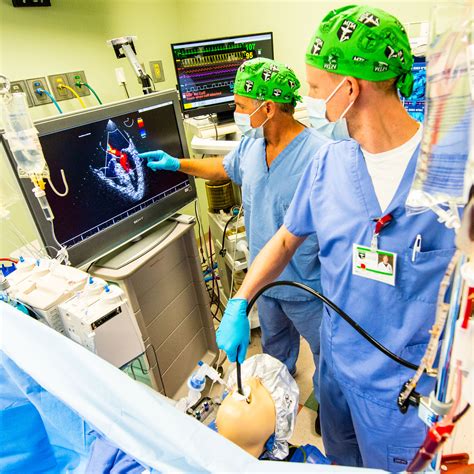 Transesophageal Echocardiography (TEE) Workshops now offered - MTSA