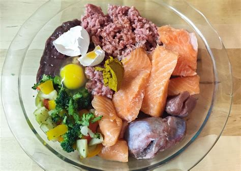 David from CanineKarmaTraining.com feeding his dogs a BARF-style raw ...