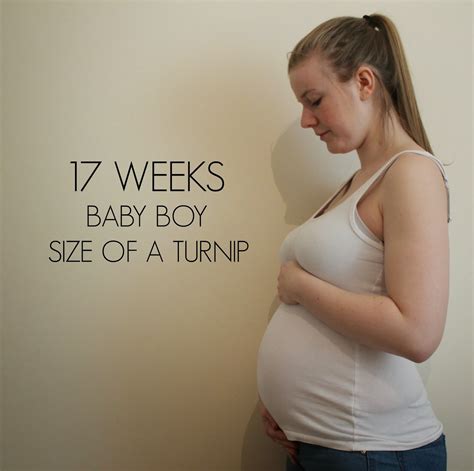 17 Weeks Pregnant Fetus Size