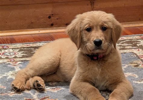 McHenry County Circuit Court Clerk