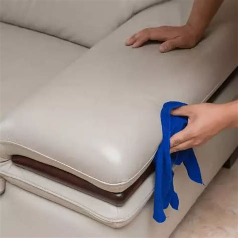 Professional Leather Sofa Cleaning London | Prolux Cleaning
