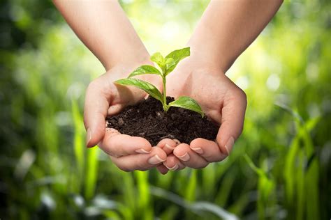 Agricultural Development | Economic Research Institute for ASEAN and East Asia (ERIA)ERIA's ...