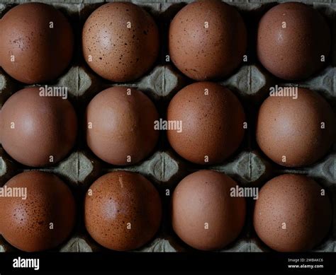 A batch of a dozen eggs 3x4 rows Stock Photo - Alamy