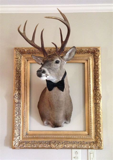 What Are Mounted Deer Heads Called at Claudia Lewis blog