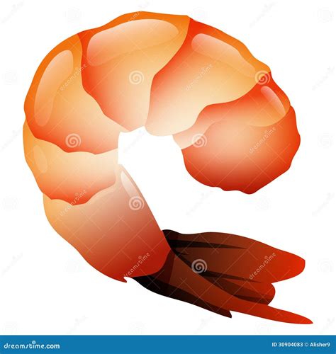 Fried Shrimp Clip Art