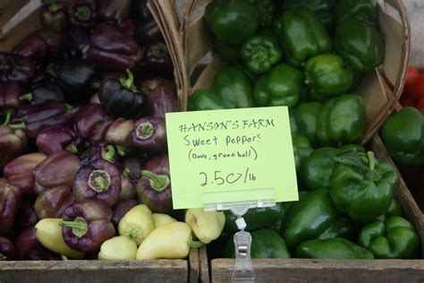 Davis Square Farmers Market Journal