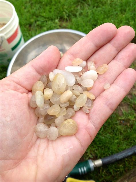 Before polishing Cape May Diamonds | Cape may diamonds, Cape may, Cape ...