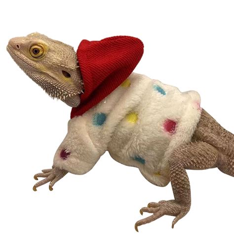 Bearded Dragon Clothes Costume Accessories Apparel Clothing Hand-made ...