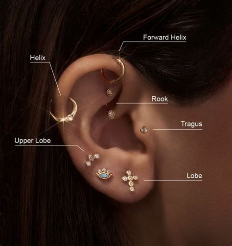Pin by Ruby Leamer-Alessi on piercings | Earings piercings, Forward ...