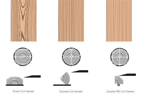 Veneer Long Definition at Pamela Beeler blog