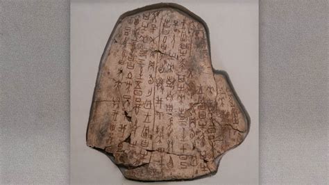 Oracle bones: 3,250-year-old engraved bones and tortoise shells from ...