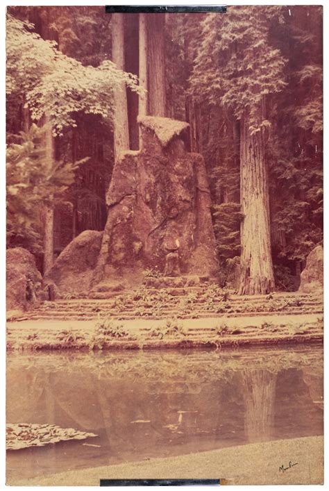 Bohemian Grove Owl Photographed By Moulin Auction