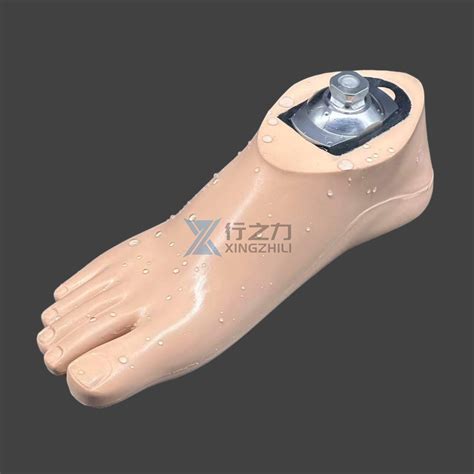 Ano ang mga Salik na Nakapagpapasiya sa Kaginhawahan ng Prosthetic Limb ...