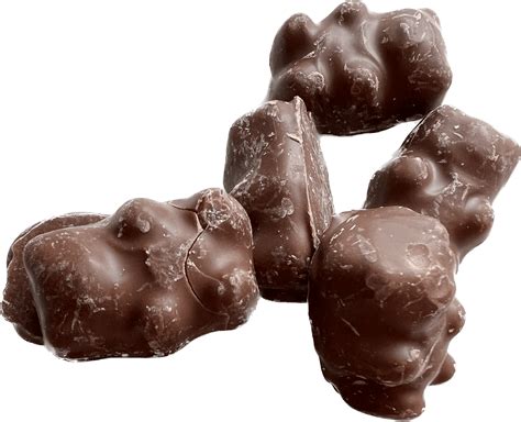 Milk Chocolate Covered Cinnamon Bears - The Confectionery