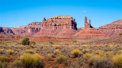 Why we should all care about protecting Bears Ears National Monument ...