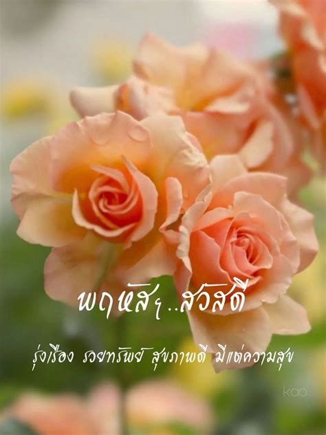 ปักพินโดย Rapeekorn Pongvisetkul ใน สวัสดีประจำวัน | ดอกไม้สวย ๆ ...