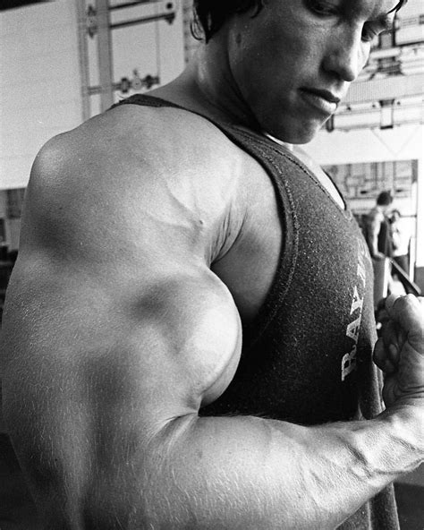 Arnold Schwarzenegger | Join our positive corner of the internet at the ...