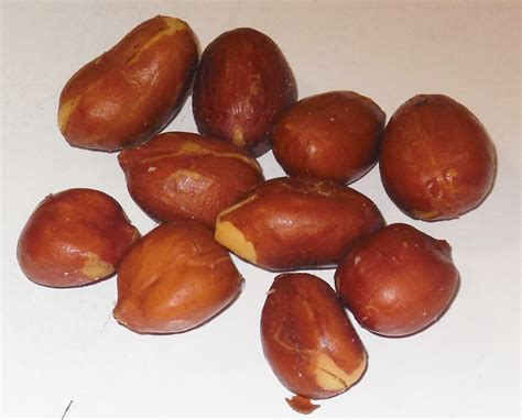 Dates Fruit In Spanish