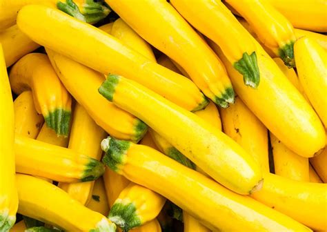 15 Types Of Squash: Your Guide To Winter And Summer Squashes