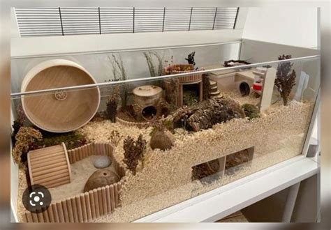 Hamster natural cage – Artofit