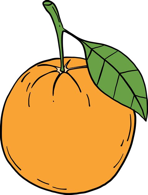 Orange Sketch