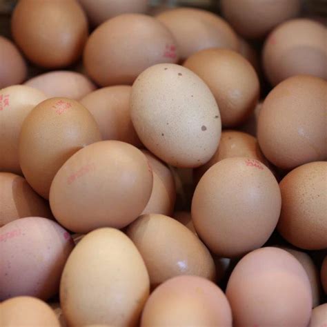Large Eggs, Half Dozen - Plumgarths Farm Shop