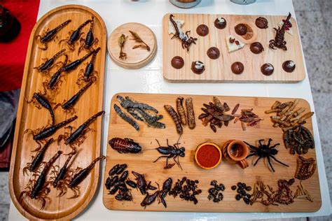 Should people eat insects instead of meat? Experts explain the benefits ...
