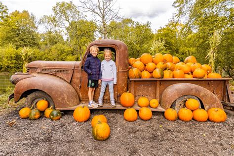 Best Pumpkin Patches in England 2025 | Top Places to Go Pumpkin Picking